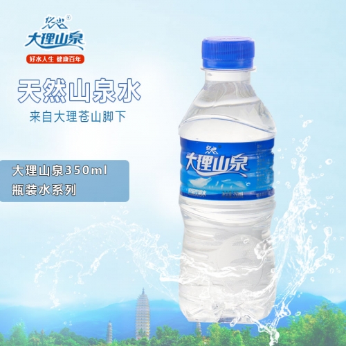 大理山泉508ml  瓶装水系列